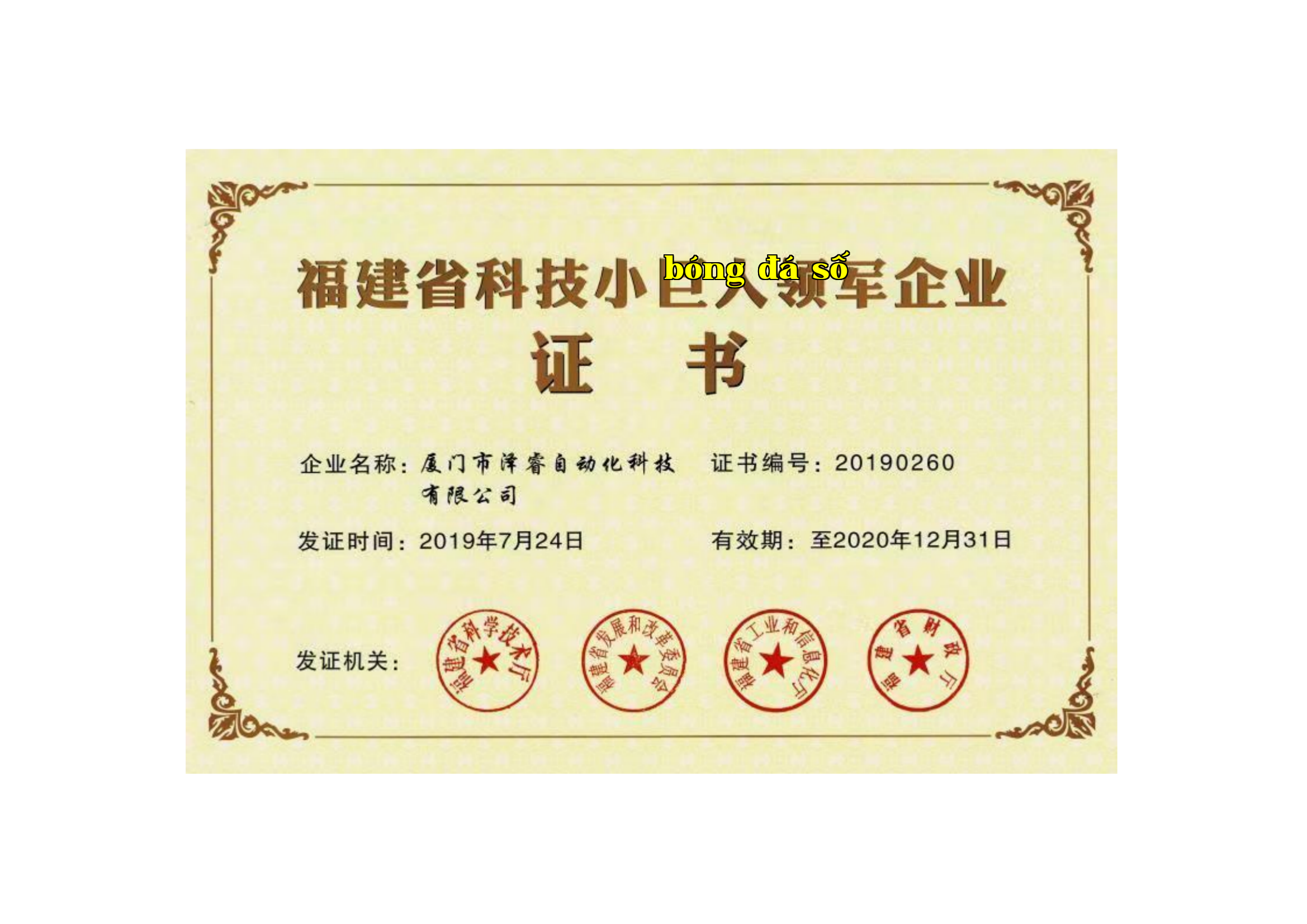 Doanh nghiệp vừa và nhỏ công nghệ tỉnh Phúc Kiến Doanh nghiệp vừa và nhỏ công nghệ tỉnh Phúc Kiến